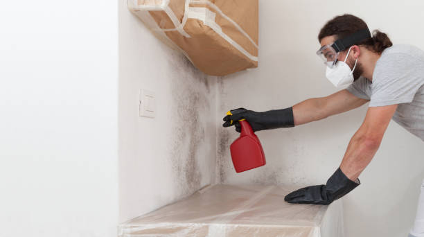 Professional Mold Remediation technician working in West Orange, TX