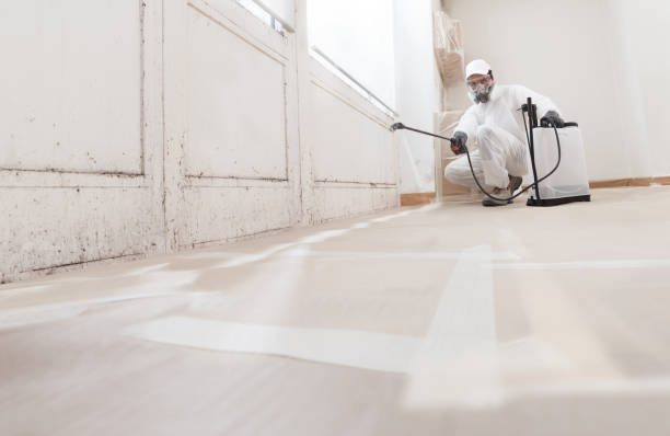 24/7 Emergency Mold Remediation experts in West Orange, TX